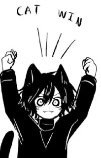 🐈‍⬛