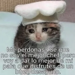 😭