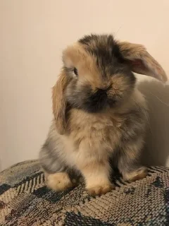 😁