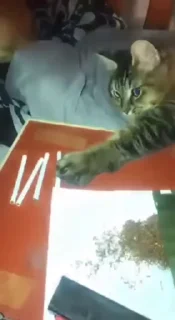 😂