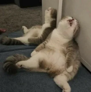 😩