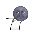 🌚