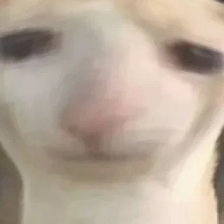 🥵