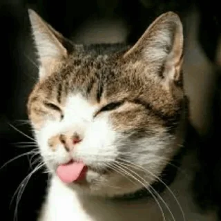 😏