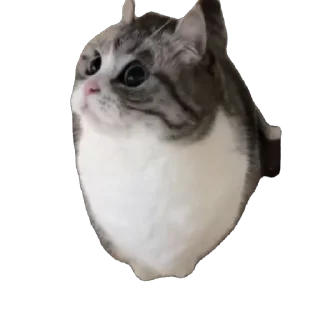 🫥
