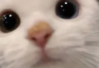👀
