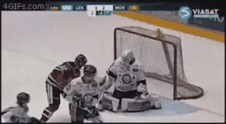 🏒