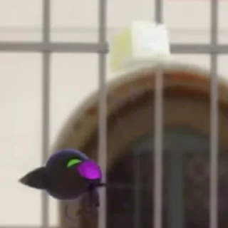 😍