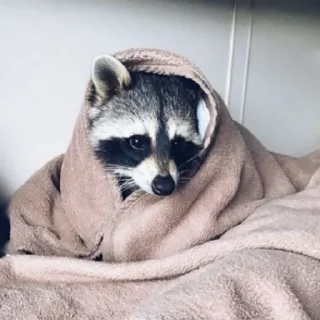 😕