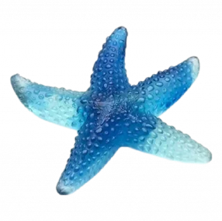 ⭐️