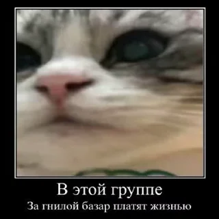 😎