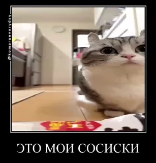 🧒