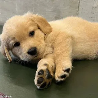 ☺️