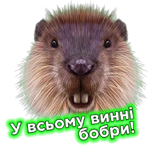 👉