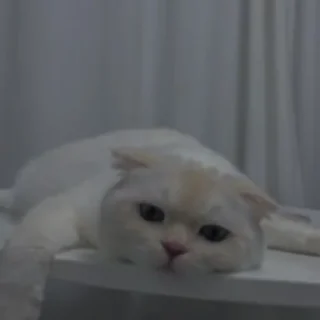 💗