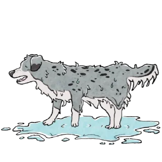 💧