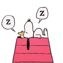 💤