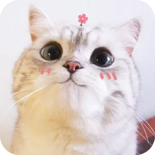 🥰