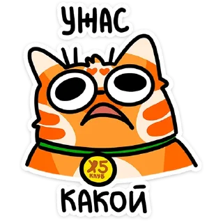 ⭐