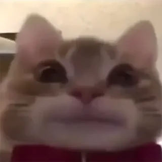 😐