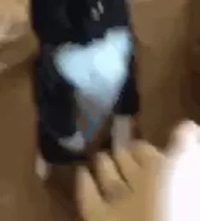 🤚