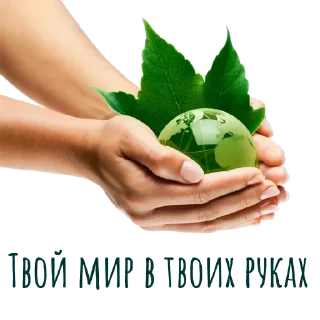 🌏