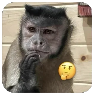 🤔