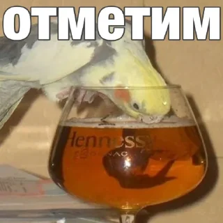 🥳