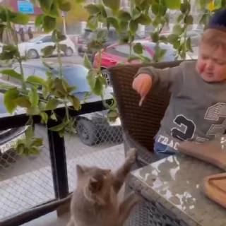 🤩