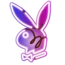 🐇