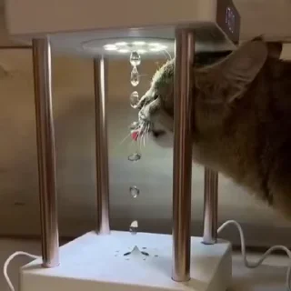 🧶