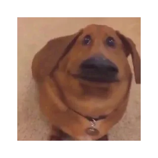 🤨