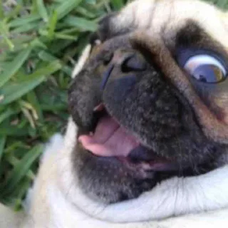 😄