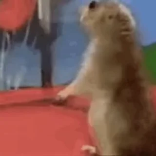 😳