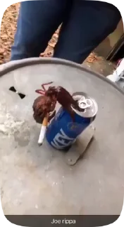🦀