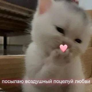 😘