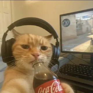 😎