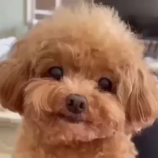 🙂