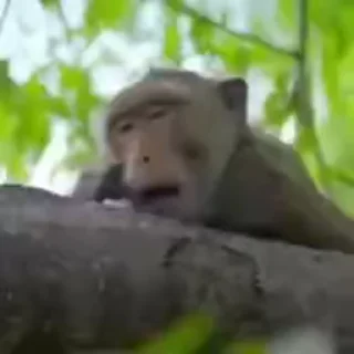 🥱