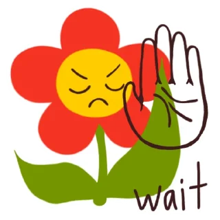 ✋