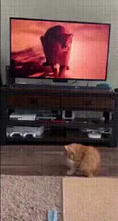 😱