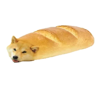 🐶