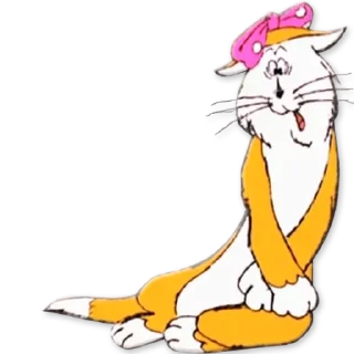 😽