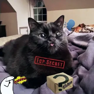 🤫