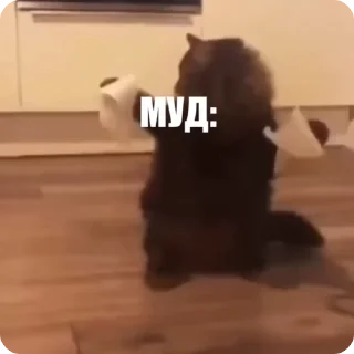 🙃