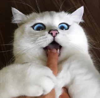 😉