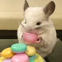☕️