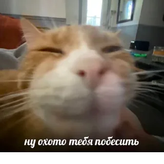 🤗