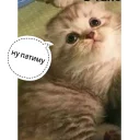 😧