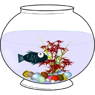 🐠